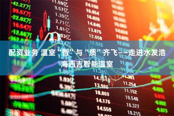 配资业务 温室“智”与“质”齐飞——走进水发浩海西吉智能温室