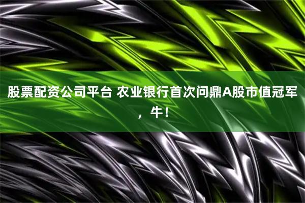 股票配资公司平台 农业银行首次问鼎A股市值冠军，牛！