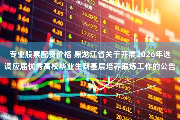 专业股票配资价格 黑龙江省关于开展2026年选调应届优秀高校毕业生到基层培养锻炼工作的公告