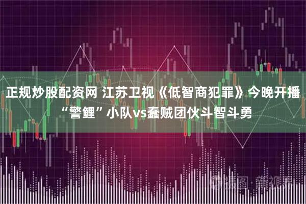 正规炒股配资网 江苏卫视《低智商犯罪》今晚开播 “警鲤”小队vs蠢贼团伙斗智斗勇